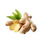 Ginger